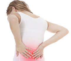 spine